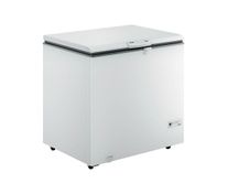 Freezer-Consul-309L