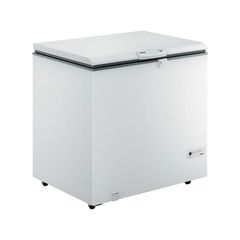 Freezer-Consul-309L